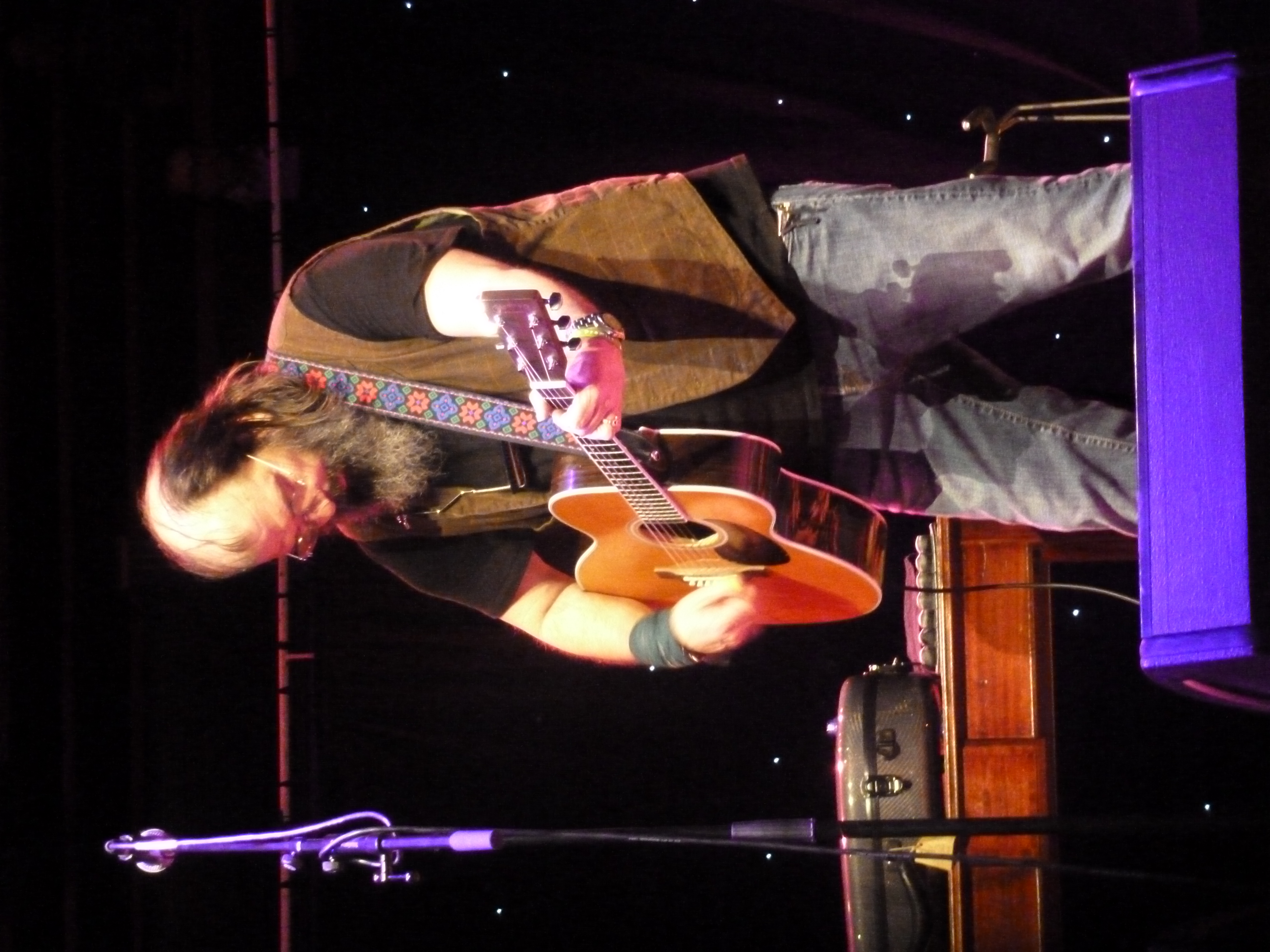 SteveEarle2014-08-27NationalConcertHallDublinIreland (13).JPG